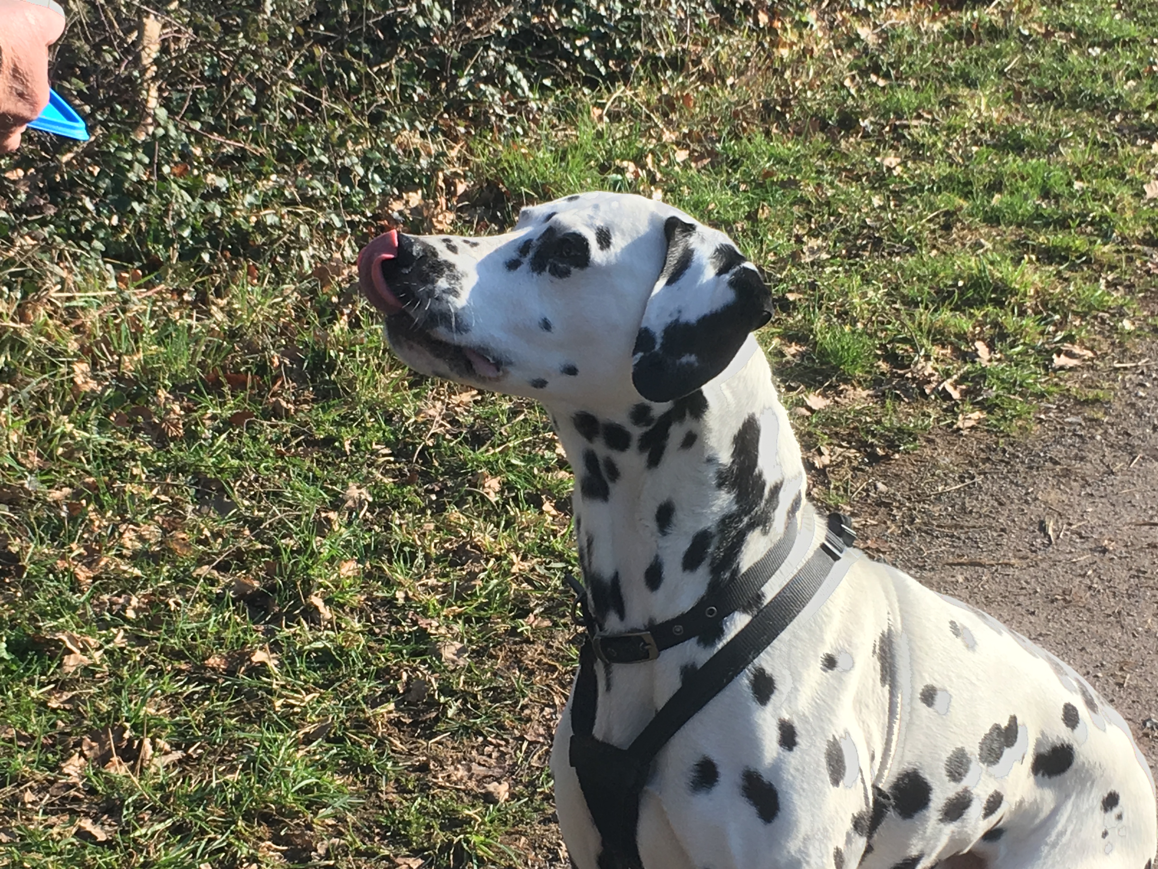 B3005FDC-211D-43FC-91A1-FE692603023B